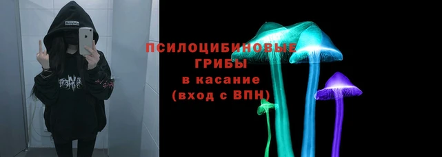 герыч Абаза
