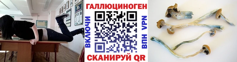 Галлюциногенные грибы Psilocybine cubensis  купить   Хилок 